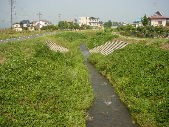 自然に配慮した川づくり富竹地区（富竹大橋下流）