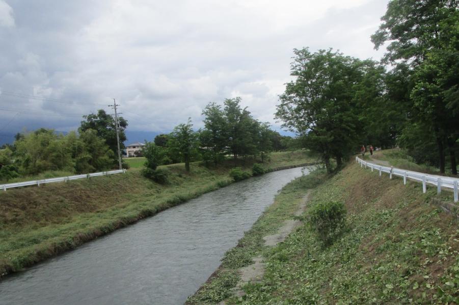 除草後（万水橋下流）