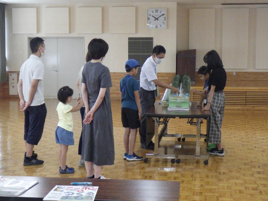 模型実験