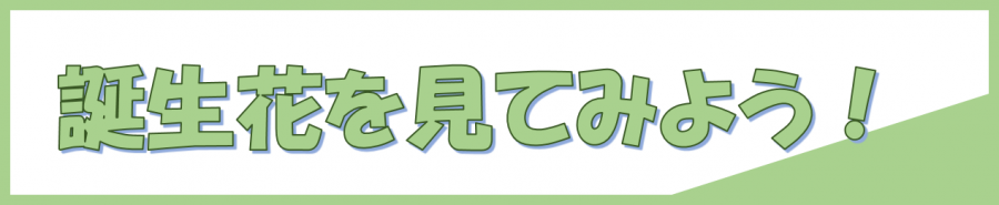 誕生花をみてみよう