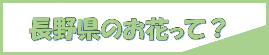 長野県の花は