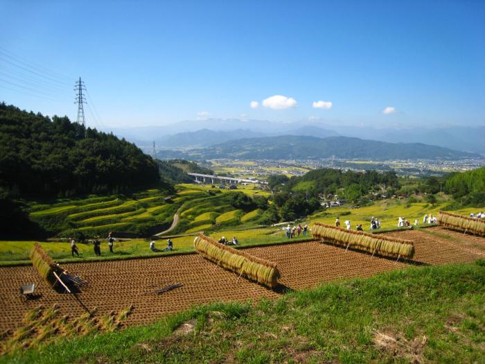 稲倉の棚田