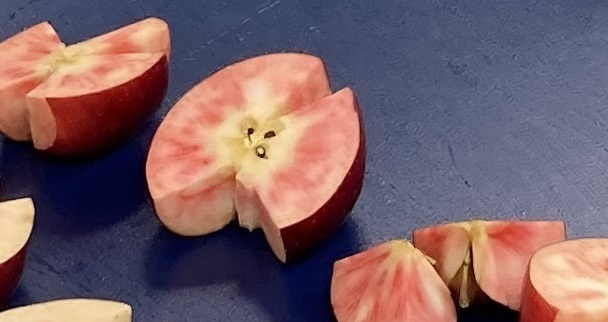 キルトピンクの果実断面写真