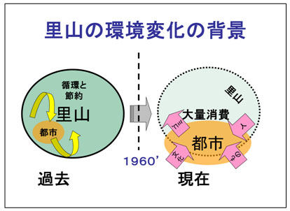 里山の環境変化と背景