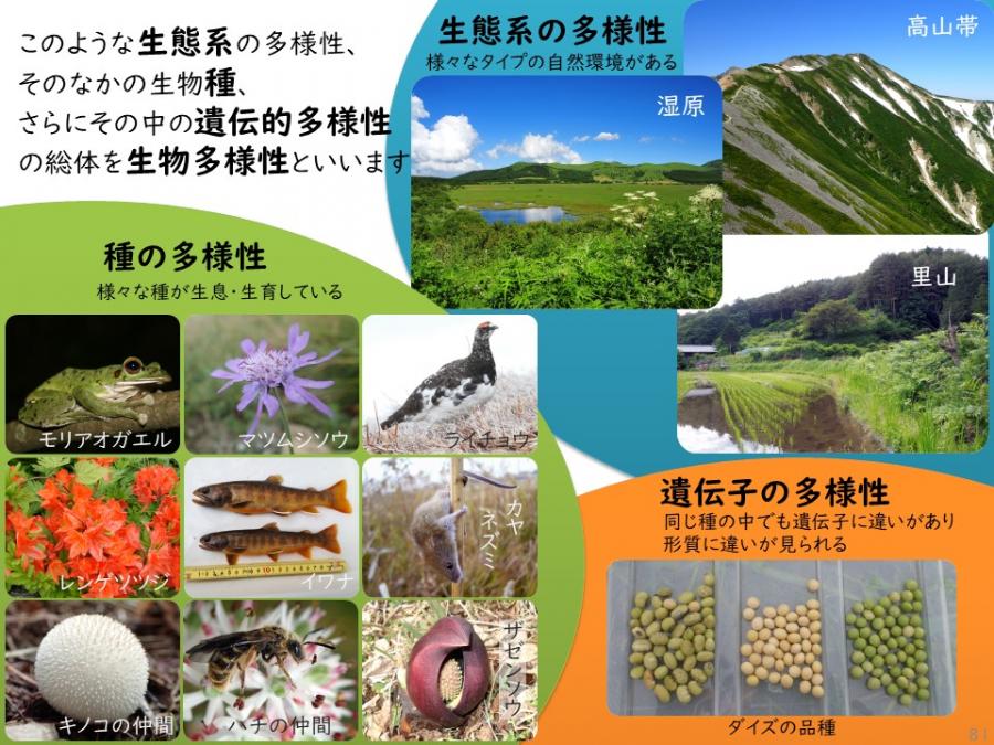 生物多様性とは