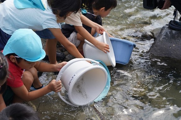 R4年度の保育園児による放流の様子