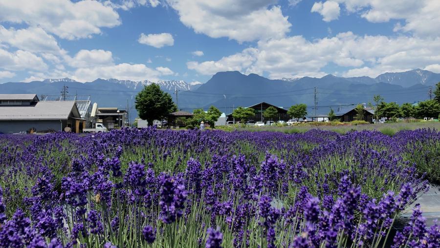 池田町