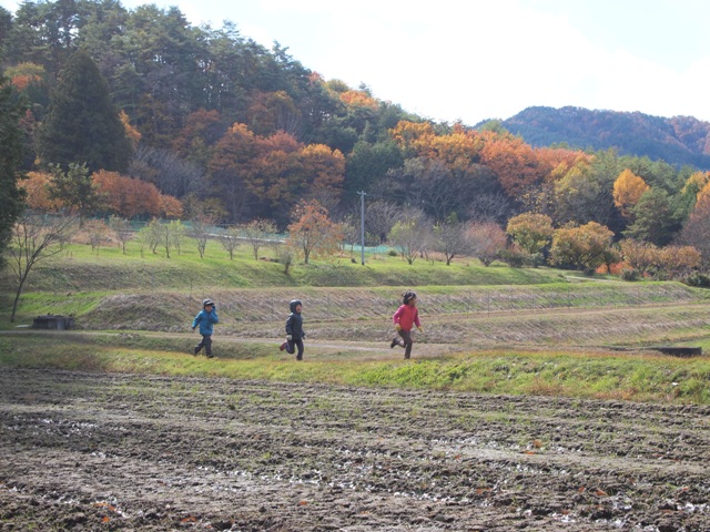 信州やまほいく（信州型自然保育）の様子