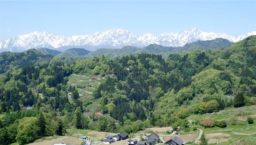 里山の様子