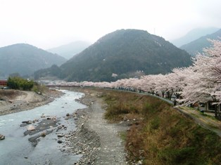 春の遠山川