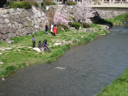 写真:女鳥羽川