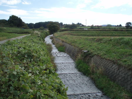 写真：大沢川