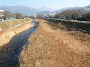 写真：土砂除去前