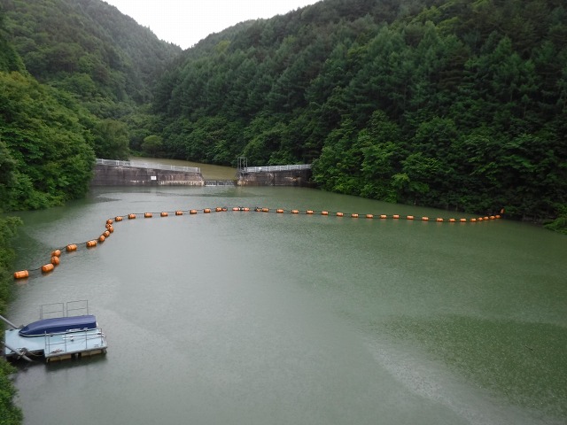 写真：北山ダム網場