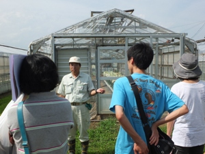 農場見学（花きハウス）