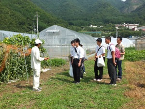 農場見学（野菜）