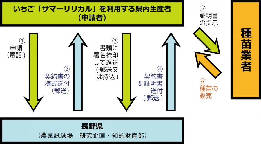 20250523ririkaru2