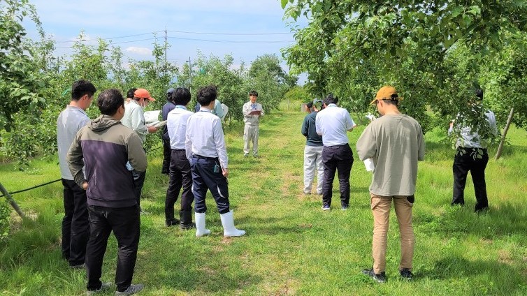 ほ場で観察のポイントを研修（分科会：果樹（かき、なし以外））