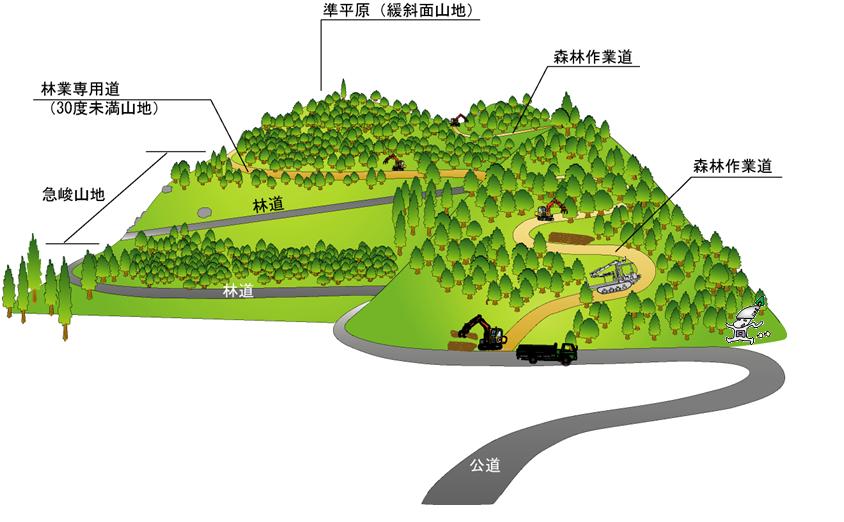 適用路網（規格）の模式図