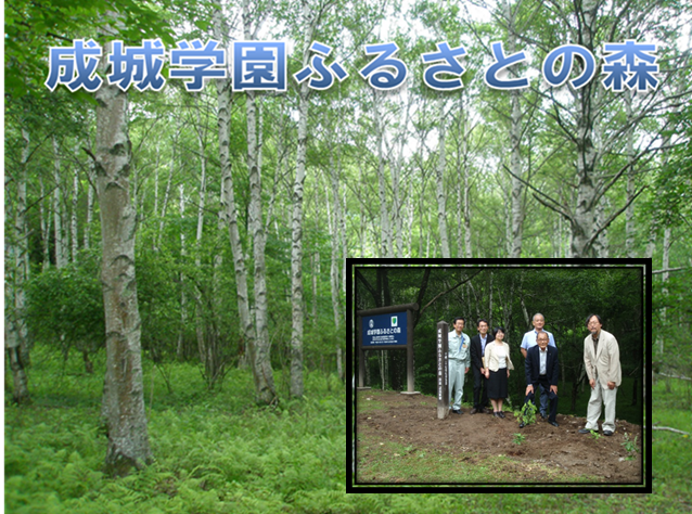 成城学園ふるさとの森