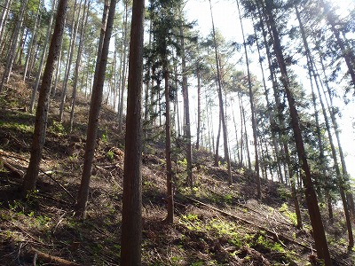 塩尻市小曽部金山団地