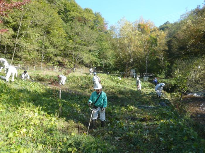 牛伏川草刈り