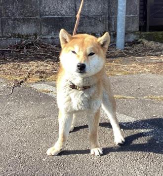 250507