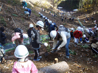 治山事業施工箇所における地区主催の植樹祭の状況