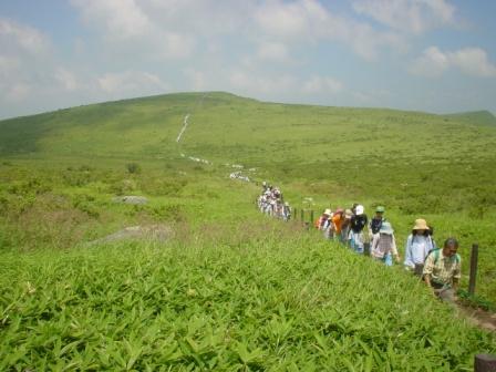 霧ヶ峰の草原