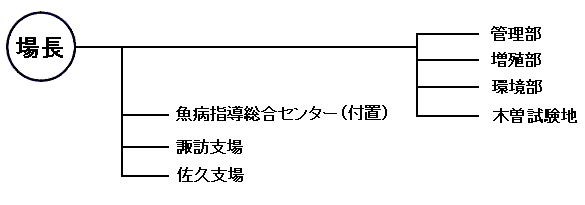 試験場の組織図