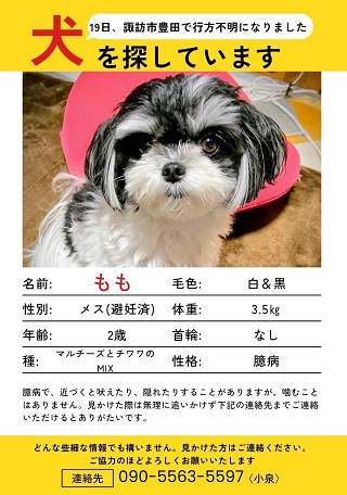 yukuefumeiinu7-2