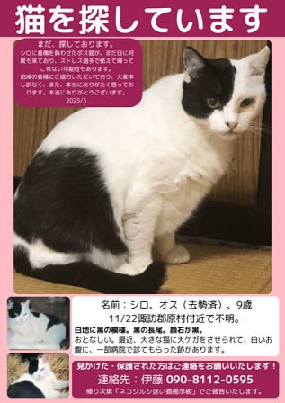  yukuefumeineko6-12-1