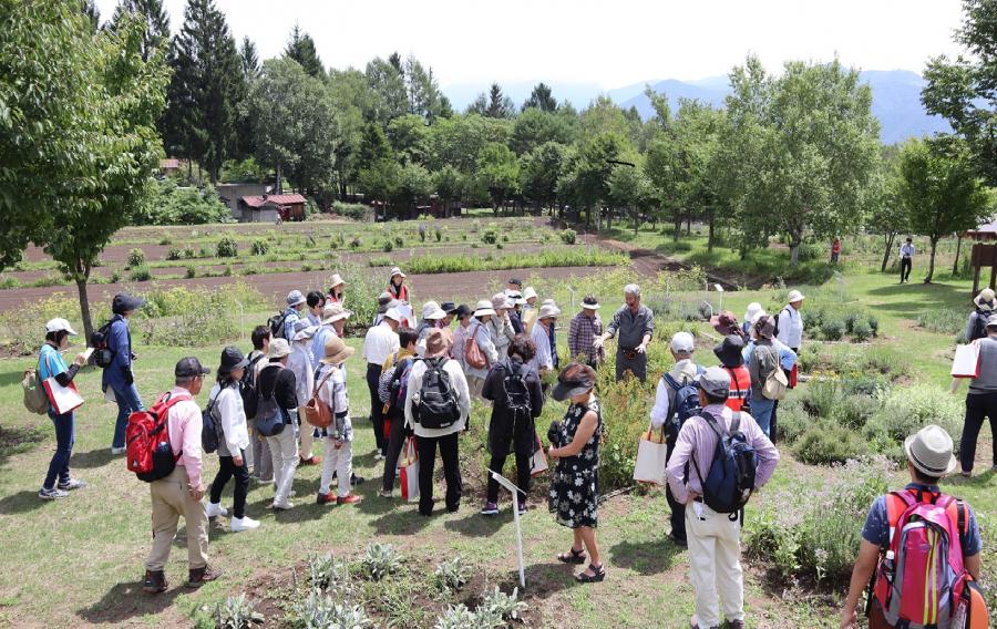 薬草観察会2